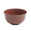 Red Rainforest 16-Piece Dinnerware Set - Red